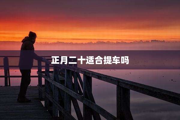 正月二十适合提车吗