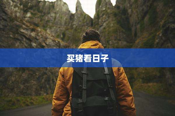 买猪看日子