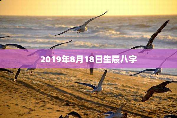 2019年8月18日生辰八字
