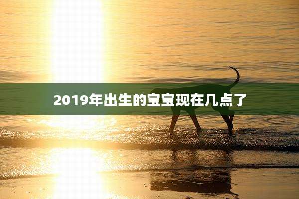 2019年出生的宝宝现在几点了