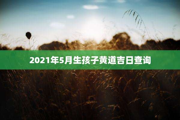 2021年5月生孩子黄道吉日查询