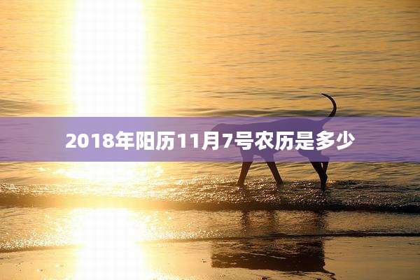 2018年阳历11月7号农历是多少