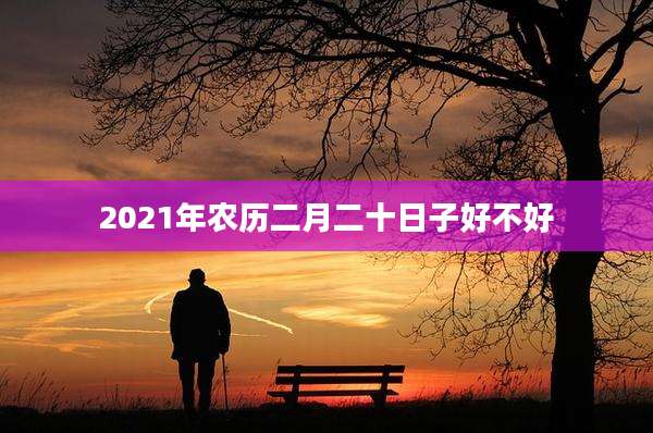 2021年农历二月二十日子好不好