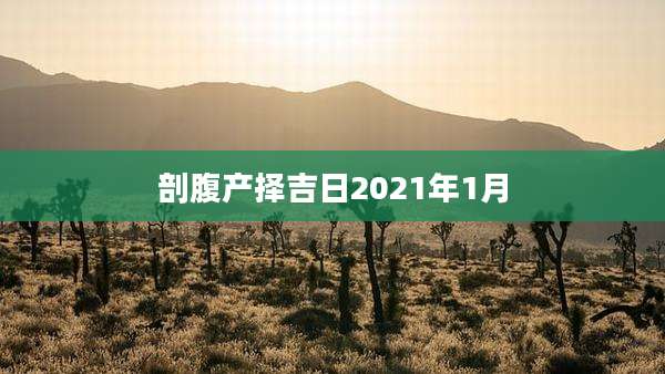 剖腹产择吉日2021年1月