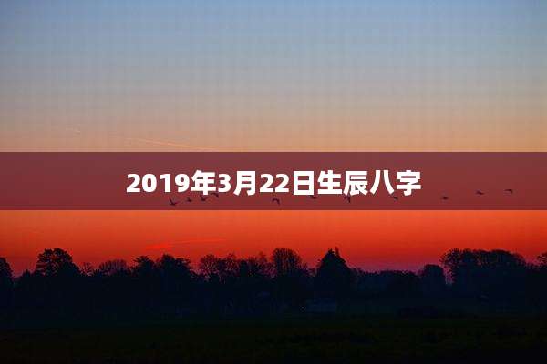 2019年3月22日生辰八字