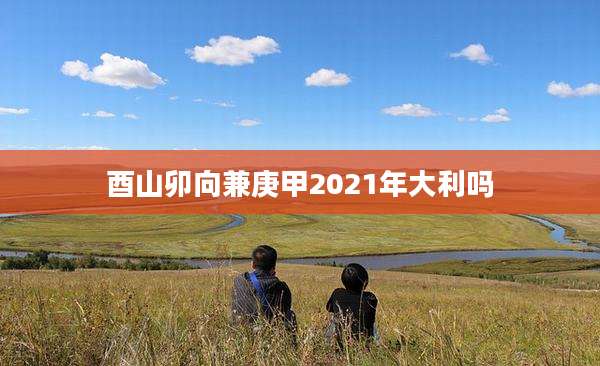 酉山卯向兼庚甲2021年大利吗