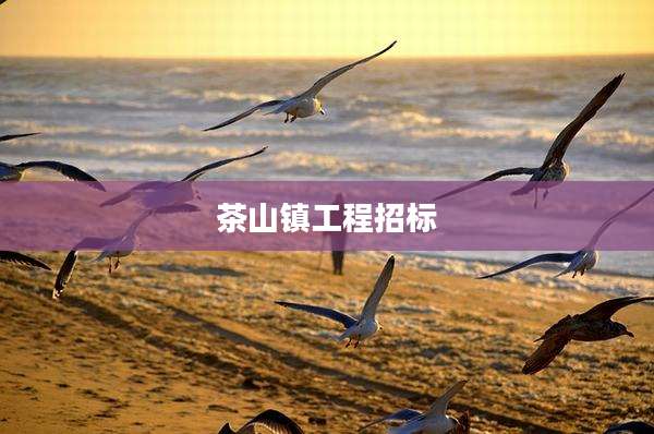 茶山镇工程招标
