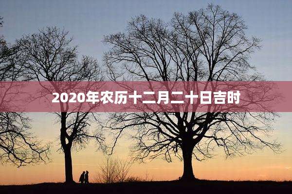 2020年农历十二月二十日吉时