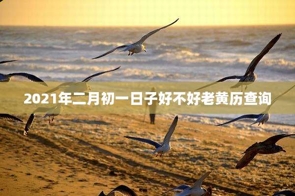 2021年二月初一日子好不好老黄历查询