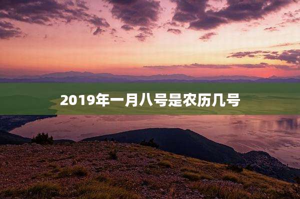 2019年一月八号是农历几号