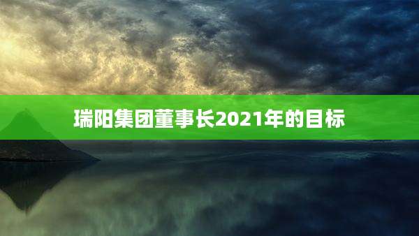 瑞阳集团董事长2021年的目标