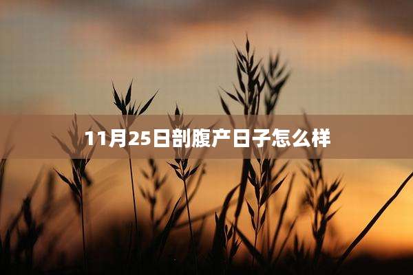 11月25日剖腹产日子怎么样