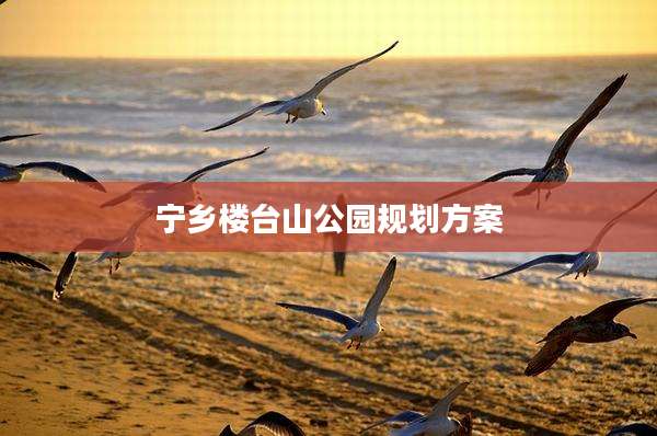 宁乡楼台山公园规划方案