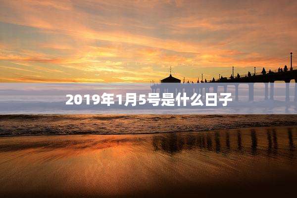 2019年1月5号是什么日子