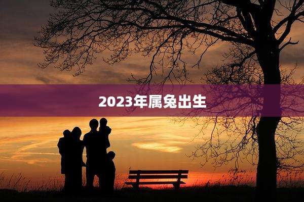 2023年属兔出生