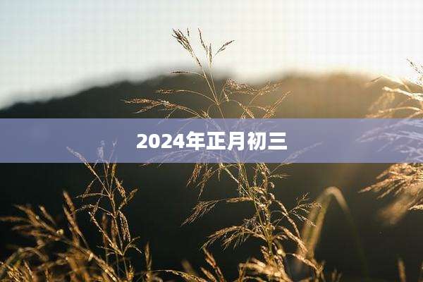 2024年正月初三