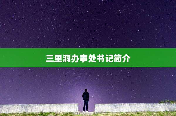 三里洞办事处书记简介