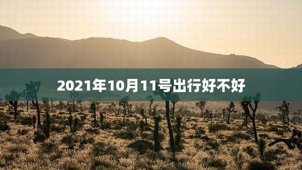 2021年10月11号出行好不好