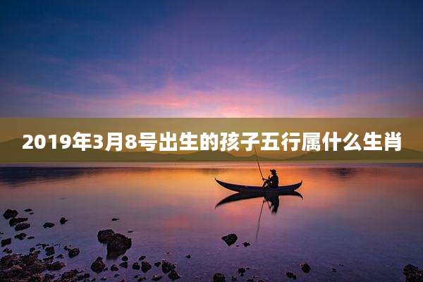 2019年3月8号出生的孩子五行属什么生肖