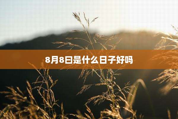 8月8曰是什么日子好吗