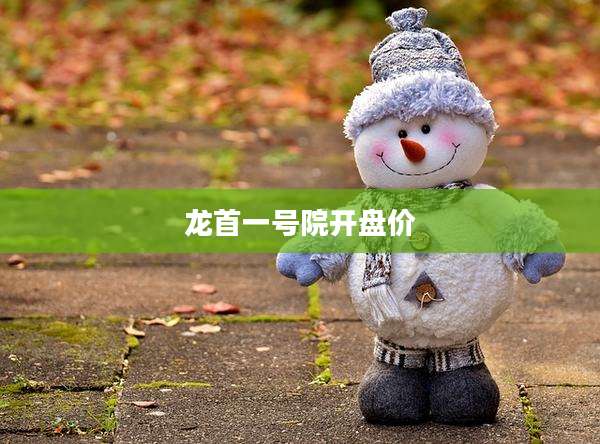 龙首一号院开盘价