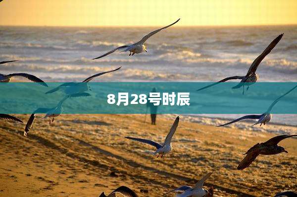 8月28号时辰