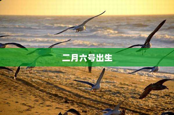二月六号出生