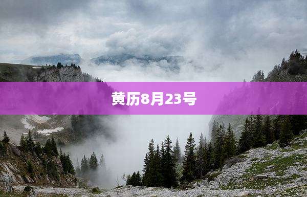 黄历8月23号