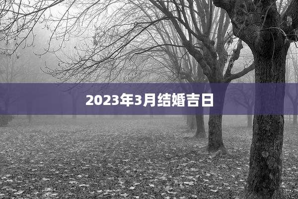 2023年3月结婚吉日