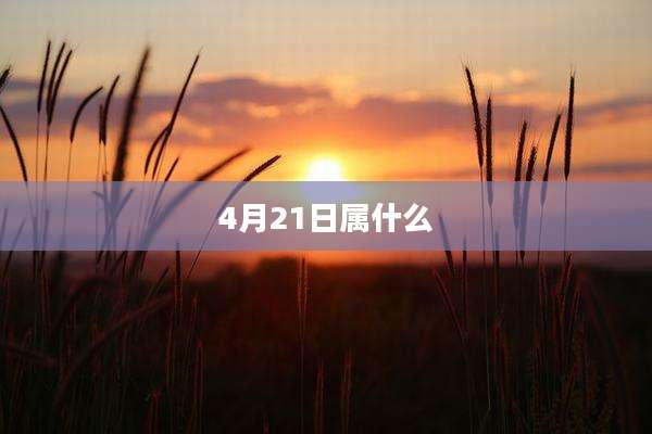 4月21日属什么