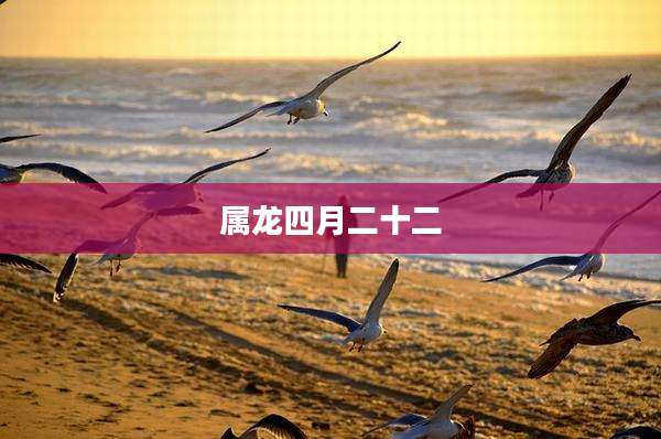 属龙四月二十二