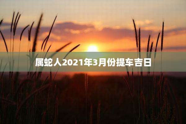属蛇人2021年3月份提车吉日