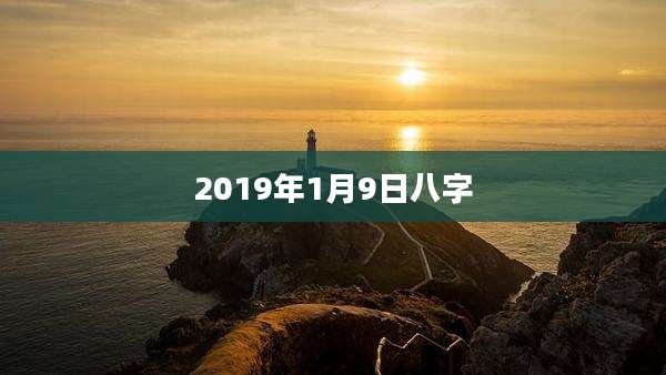 2019年1月9日八字