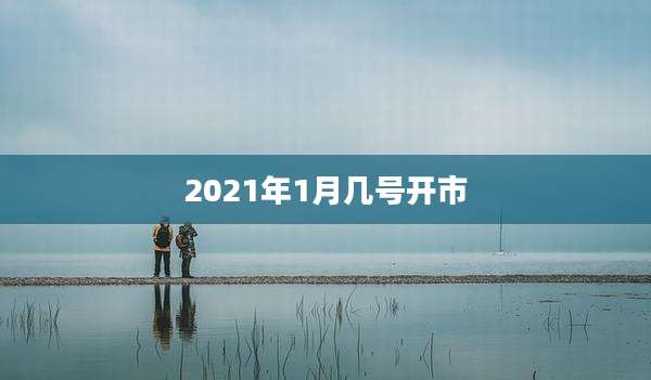 2021年1月几号开市
