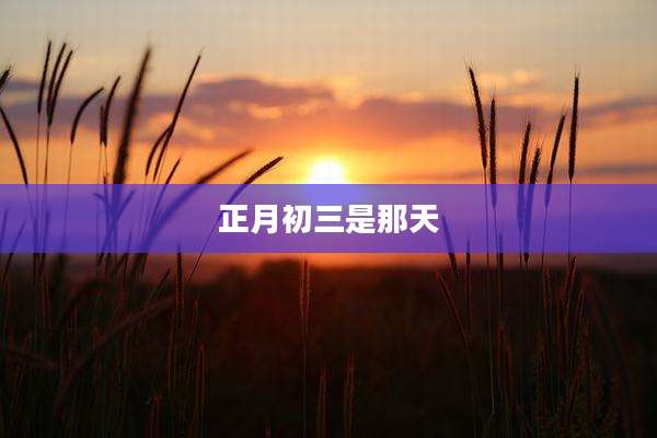 正月初三是那天