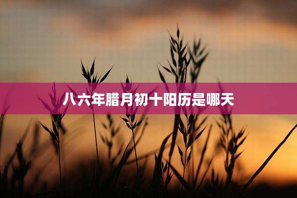 八六年腊月初十阳历是哪天