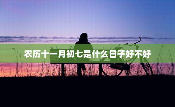 农历十一月初七是什么日子好不好
