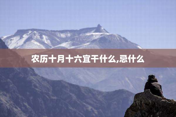 农历十月十六宜干什么,忌什么