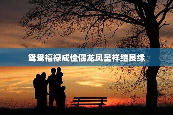 鸳鸯福禄成佳偶龙凤呈祥结良缘