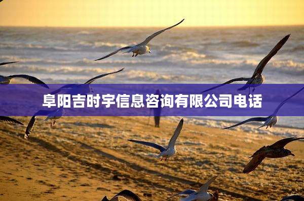 阜阳吉时宇信息咨询有限公司电话