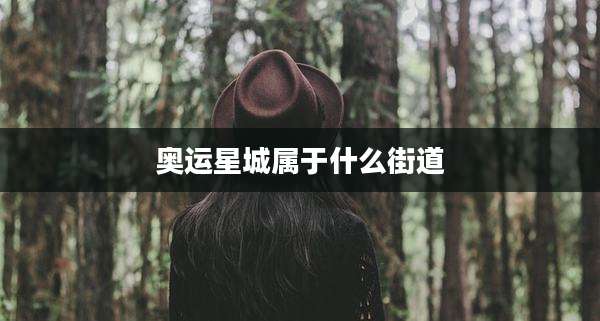 奥运星城属于什么街道