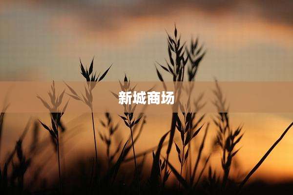 新城商场