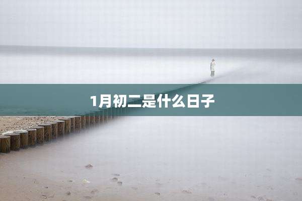 1月初二是什么日子