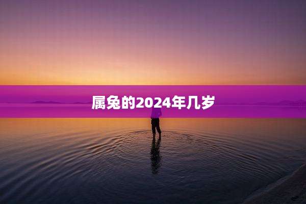 属兔的2024年几岁