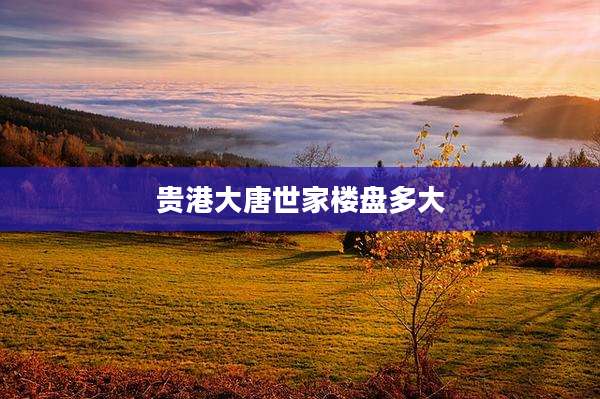 贵港大唐世家楼盘多大