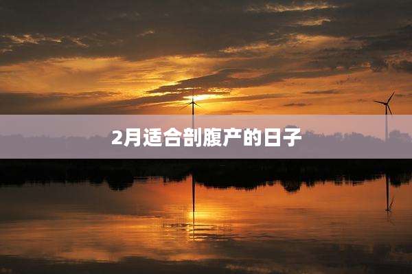 2月适合剖腹产的日子