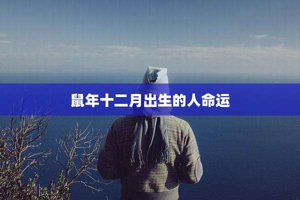 鼠年十二月出生的人命运