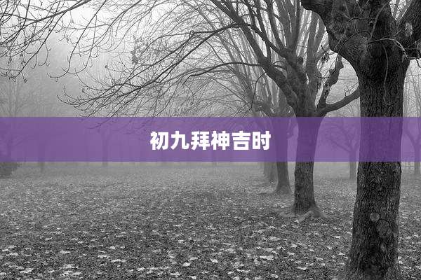 初九拜神吉时