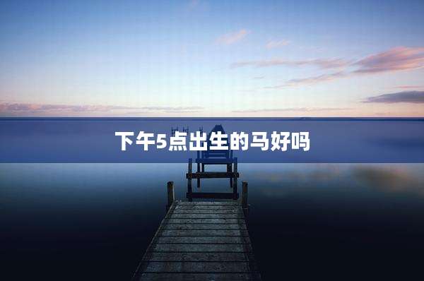 下午5点出生的马好吗