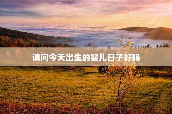 请问今天出生的婴儿日子好吗